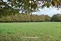 Maison hectare a vendre, maison bois a vendre, propriete equestre a vendre, propriete hectare, maison gite a vendre, maison chambre hote a vendre, nantes, chateaubriant, blain, derval, loire atlantique, rennes, bain de bretagne, 44, 35, propriete rurale, 
