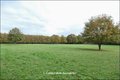 Maison hectare a vendre, maison bois a vendre, propriete equestre a vendre, propriete hectare, maison gite a vendre, maison chambre hote a vendre, nantes, chateaubriant, blain, derval, loire atlantique, rennes, bain de bretagne, 44, 35, propriete rurale, 