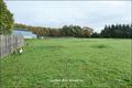 Maison hectare a vendre, maison bois a vendre, propriete equestre a vendre, propriete hectare, maison gite a vendre, maison chambre hote a vendre, nantes, chateaubriant, blain, derval, loire atlantique, rennes, bain de bretagne, 44, 35, propriete rurale, 