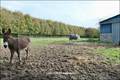 Maison hectare a vendre, maison bois a vendre, propriete equestre a vendre, propriete hectare, maison gite a vendre, maison chambre hote a vendre, nantes, chateaubriant, blain, derval, loire atlantique, rennes, bain de bretagne, 44, 35, propriete rurale, 