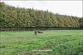 Maison hectare a vendre, maison bois a vendre, propriete equestre a vendre, propriete hectare, maison gite a vendre, maison chambre hote a vendre, nantes, chateaubriant, blain, derval, loire atlantique, rennes, bain de bretagne, 44, 35, propriete rurale, 