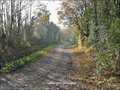 Maison hectare a vendre, maison bois a vendre, propriete equestre a vendre, propriete hectare, maison gite a vendre, maison chambre hote a vendre, nantes, chateaubriant, blain, derval, loire atlantique, rennes, bain de bretagne, 44, 35, propriete rurale, 