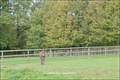 Maison hectare a vendre, maison bois a vendre, propriete equestre a vendre, propriete hectare, maison gite a vendre, maison chambre hote a vendre, nantes, chateaubriant, blain, derval, loire atlantique, rennes, bain de bretagne, 44, 35, propriete rurale, 