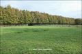 Maison hectare a vendre, maison bois a vendre, propriete equestre a vendre, propriete hectare, maison gite a vendre, maison chambre hote a vendre, nantes, chateaubriant, blain, derval, loire atlantique, rennes, bain de bretagne, 44, 35, propriete rurale, 