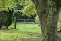 Maison hectare a vendre, maison bois a vendre, propriete equestre a vendre, propriete hectare, maison gite a vendre, maison chambre hote a vendre, nantes, chateaubriant, blain, derval, loire atlantique, rennes, bain de bretagne, 44, 35, propriete rurale, 