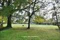 Maison hectare a vendre, maison bois a vendre, propriete equestre a vendre, propriete hectare, maison gite a vendre, maison chambre hote a vendre, nantes, chateaubriant, blain, derval, loire atlantique, rennes, bain de bretagne, 44, 35, propriete rurale, 