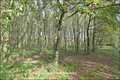 Maison hectare a vendre, maison bois a vendre, propriete equestre a vendre, propriete hectare, maison gite a vendre, maison chambre hote a vendre, nantes, chateaubriant, blain, derval, loire atlantique, rennes, bain de bretagne, 44, 35, propriete rurale, 