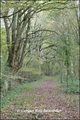 Maison hectare a vendre, maison bois a vendre, propriete equestre a vendre, propriete hectare, maison gite a vendre, maison chambre hote a vendre, nantes, chateaubriant, blain, derval, loire atlantique, rennes, bain de bretagne, 44, 35, propriete rurale, 