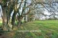 agence immobiliere,vente propriete,golfe morbihan,bretagne,propriete a vendre 56,saint nolff,theix,questembert,la trinite,surzur,sarzeau,ambon,damgan,séné,vannes,56,maison de charme,maison avec hectare,proprieté,villa,prestige,villa contemporaine,longere,