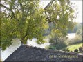 vente,achat,a vendre,maison,hectare,propriete,riviere,vilaine,etang,bois,a vendre,44,loire atlantique,ile et vilaine,35,35600,redon,masserac,langon,guemene,56200,La Gacilly,rochefort terre,56,morbihan,85,vendee,bretagne,pays loire,agence immobiliere,propr