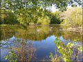 vente,achat,a vendre,maison,hectare,propriete,riviere,vilaine,etang,bois,a vendre,44,loire atlantique,ile et vilaine,35,35600,redon,masserac,langon,guemene,56200,La Gacilly,rochefort terre,56,morbihan,85,vendee,bretagne,pays loire,agence immobiliere,propr