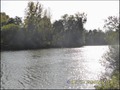 vente,achat,a vendre,maison,hectare,propriete,riviere,vilaine,etang,bois,a vendre,44,loire atlantique,ile et vilaine,35,35600,redon,masserac,langon,guemene,56200,La Gacilly,rochefort terre,56,morbihan,85,vendee,bretagne,pays loire,agence immobiliere,propr