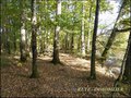 vente,achat,a vendre,maison,hectare,propriete,riviere,vilaine,etang,bois,a vendre,44,loire atlantique,ile et vilaine,35,35600,redon,masserac,langon,guemene,56200,La Gacilly,rochefort terre,56,morbihan,85,vendee,bretagne,pays loire,agence immobiliere,propr