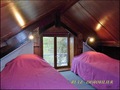 vente,achat,a vendre,maison,hectare,propriete,riviere,vilaine,etang,bois,a vendre,44,loire atlantique,ile et vilaine,35,35600,redon,masserac,langon,guemene,56200,La Gacilly,rochefort terre,56,morbihan,85,vendee,bretagne,pays loire,agence immobiliere,propr