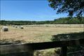 propriete equestre,haras,propriete rurale,a vendre,pays de la loire,loire atlantique,44,nantes,bretagne,ille et vilaine,35,rennes,chateaubriant,vente,belle demeure,propriete exception,hectare,prestige,a vendre,haras,agence immobilière,french property