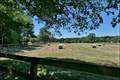 propriete equestre,haras,propriete rurale,a vendre,pays de la loire,loire atlantique,44,nantes,bretagne,ille et vilaine,35,rennes,chateaubriant,vente,belle demeure,propriete exception,hectare,prestige,a vendre,haras,agence immobilière,french property