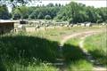 propriete equestre,haras,propriete rurale,a vendre,pays de la loire,loire atlantique,44,nantes,bretagne,ille et vilaine,35,rennes,chateaubriant,vente,belle demeure,propriete exception,hectare,prestige,a vendre,haras,agence immobilière,french property
