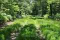 propriete equestre,haras,propriete rurale,a vendre,pays de la loire,loire atlantique,44,nantes,bretagne,ille et vilaine,35,rennes,chateaubriant,vente,belle demeure,propriete exception,hectare,prestige,a vendre,haras,agence immobilière,french property