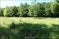 Maison plain-pied,vente maison contemporaine,vente propriete nantes,pont saint martin,saint aignan grandlieu,nantes,aéroport,maison a vendre,demeure contemporaine,maison bois,propriete proche nantes,hectare,propriete equestre,propriete equestre a vendre