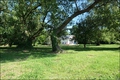 Maison plain-pied,vente maison contemporaine,vente propriete nantes,pont saint martin,saint aignan grandlieu,nantes,aéroport,maison a vendre,demeure contemporaine,maison bois,propriete proche nantes,hectare,propriete equestre,propriete equestre a vendre