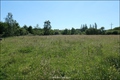Maison plain-pied,vente maison contemporaine,vente propriete nantes,pont saint martin,saint aignan grandlieu,nantes,aéroport,maison a vendre,demeure contemporaine,maison bois,propriete proche nantes,hectare,propriete equestre,propriete equestre a vendre