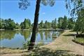 propriete a vendre, loire atlantique, morbihan, ille et vilaine, pays loire, bretagne, maison hectare, a vendre, vente, redon, rennes, nantes, etang, pecherie, propriete equestre, vente maison hectares, espace atypique, site remarquable, french properties