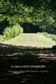 propriete a vendre, loire atlantique, morbihan, ille et vilaine, pays loire, bretagne, maison hectare, a vendre, vente, redon, rennes, nantes, etang, pecherie, propriete equestre, vente maison hectares, espace atypique, site remarquable, french properties