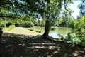 propriete a vendre, loire atlantique, morbihan, ille et vilaine, pays loire, bretagne, maison hectare, a vendre, vente, redon, rennes, nantes, etang, pecherie, propriete equestre, vente maison hectares, espace atypique, site remarquable, french properties