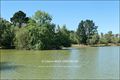 propriete a vendre, loire atlantique, morbihan, ille et vilaine, pays loire, bretagne, maison hectare, a vendre, vente, redon, rennes, nantes, etang, pecherie, propriete equestre, vente maison hectares, espace atypique, site remarquable, french properties