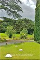 caractère, espace atypique, vente propriete, vente villa, agence immobiliere prestiqe, belle demeure,maisons de charme,pays de la loire,charente maritime,bretagne,french property,house for sale,france,brittany,french real estate,castle,manor, properties, 