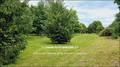 Vente, propriete, a vendre, maison de charme, maison de caractere, belle demeure, hectare, bois, piscine, grande propriete, intimité, seul au monde, nantes, rennes, angers, laval, agence immobiliere, prestige, 44000, 35000, 49000, 53000, chateaubriant