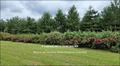 Vente, propriete, a vendre, maison de charme, maison de caractere, belle demeure, hectare, bois, piscine, grande propriete, intimité, seul au monde, nantes, rennes, angers, laval, agence immobiliere, prestige, 44000, 35000, 49000, 53000, chateaubriant