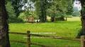 maison de charme, etang, prairie, bois, garage, agence immobiliere, agent immobilier, a vendre, vendee, 85, Cote de Jade, Pays de Retz, pornic, st brevin, saint père en retz 