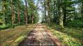 Vente, demeure, a vendre, prestige, grande maison, luxe, chambre d hote, gite, exception, maison de maitre, belle demeure, maison atypique, espace atypique, propriete, hectare, vendee, 85, les herbiers, puy du fou, roche sur yon, nantes, la rochelle, loir