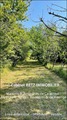 vente, vendee, propriete, château, maison de maitre, piscine, gite, potentiel, hectare, belle demeure