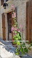 Vente, à vendre, propriété, maison, gîte, maison d’amis, maison de gardien, piscine, potentiel, charente, charente maritime, deux sèvres, la rochelle, rochefort, st jean d’angely, melle, niort, angouleme, cognac, ensemble immobilier, agence immobilière,17