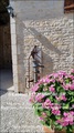 agent immobilier, spécialiste, propriété rurale, luxe, prestige, maison de caractère, belle demeure, gite, charente, charente maritime, deux sèvres, la rochelle, rochefort, st jean d’angely, melle, niort, angouleme, cognac