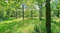agence immobilière, agent immobilier, spécialiste, agence immobiliere de prestige, Pays de la Loire, Bretagne, Nouvelle Aquitaine, Occitanie, Toulouse, Maison de campagne, Propriété de Campagne, Bois, Forêt