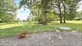 Vente Belle Demeure - Propriété sur 7 ou 12 hectares dont cour fermée, parc avec étang, prairie, verger, bois, Demeure principale (420m² hab. dont 277m² de plain-pied), maison secondaire, salle de réception, garages, dépendances, piscine, puits, kiosque. 