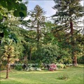 maison bourgeoise, maison luxe, maison de prestige, belle demeure, chambre d hote, reception, agence immobilière, agent immobilier, spécialiste, agence immobiliere de prestige, Pays de la Loire, Bretagne, Nouvelle Aquitaine, Occitanie, Toulouse 