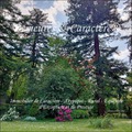 maison bourgeoise, maison luxe, maison de prestige, belle demeure, chambre d hote, reception, agence immobilière, agent immobilier, spécialiste, agence immobiliere de prestige, Pays de la Loire, Bretagne, Nouvelle Aquitaine, Occitanie, Toulouse 