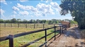 44 – Vente entre NANTES et ANGERS, au calme, sur environ 10 hectares à proximité d’ANCENIS, propriété équestre comportant de belles installations ainsi qu’une maison contemporaine et confortable.