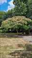 Vente propriété CHALLANS dont maison de plain-pied (env. 140m², 3/4 chambres), garage, carport et dépendances sur 5,6 hectares au calme.
